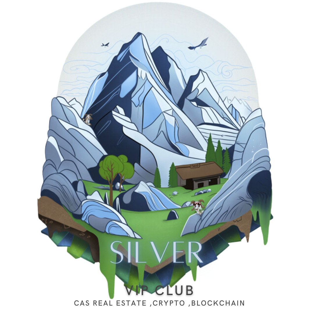 NFT Vip Silver